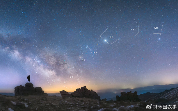 二月二农村有吃龙头菜的习俗6种龙头菜您吃过吗