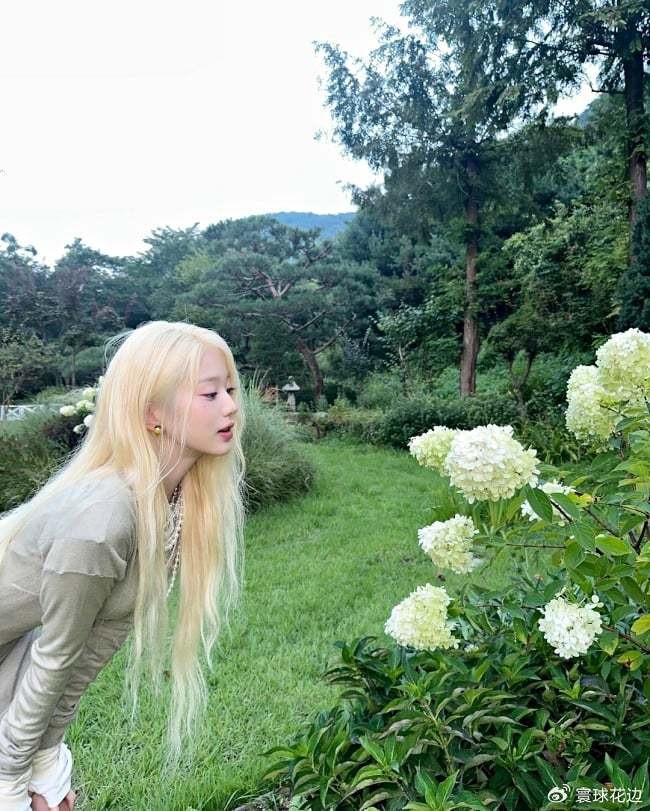 2023年首度染金发韩女星4.ive 张员瑛