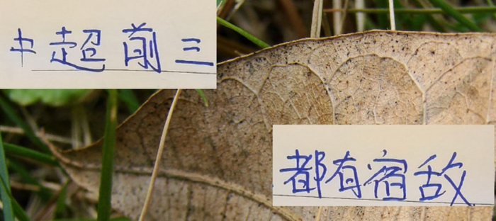 最后5轮！中超前3球队都有宿敌 成都是河南 海港是山东