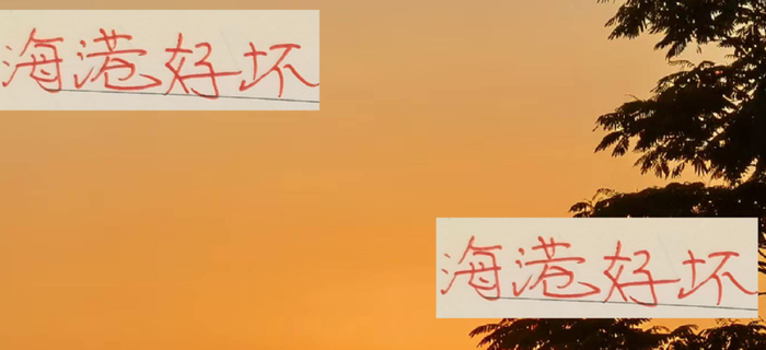 好消息！穆斯卡特会为冠军努力 坏消息！明年海港主帅会是谁