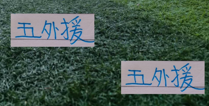 客战青岛西海岸！申花能迎来久违的5外援一起上场吗？