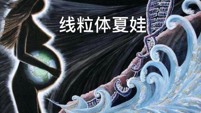 女儿才是“香火”的天选传承人，亲子鉴定超28%孩子非父亲亲生