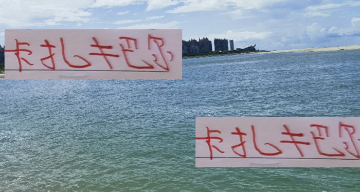 中超第一射手卡扎会像海港巴尔加斯 大红大紫后 去其他地方赚大钱吗