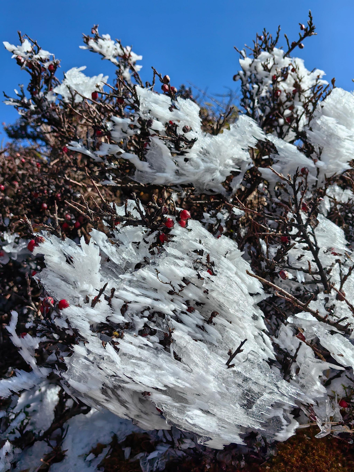 爬临沧邦东大雪山,8个小时,10公里,爬升1020米