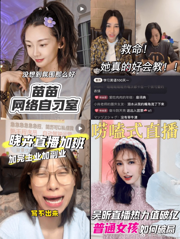 小红书在玩一种更“活人感”的明星直播|小红书|明星|活人_新浪新闻