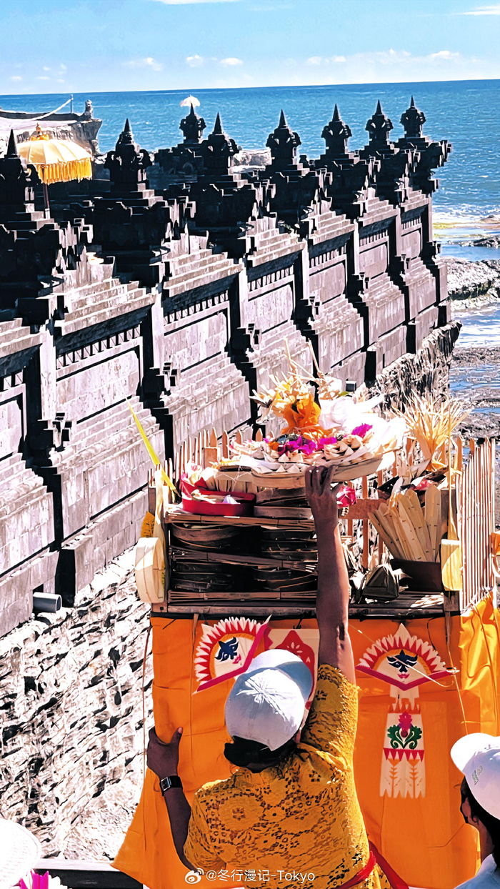 wu~92 泰国 新加坡 印度尼西亚 咖喱 肉骨茶 印尼九层塔 做spa