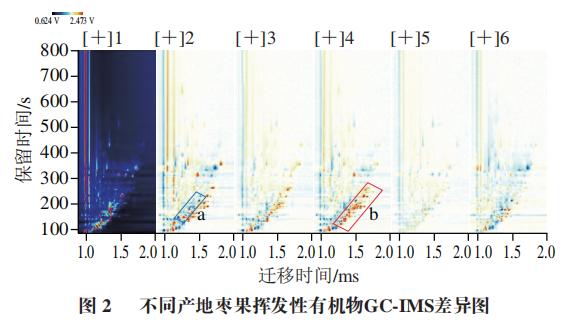 基于气相离子迁移谱的不同产地枣果挥发性有机物指纹