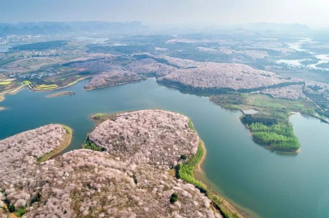 20个国内春天赏花最美的旅行地，你去过几个了？