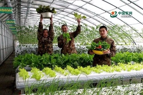 解放军的万能小黄盆：上午洗菜，晚上泡脚，还有辣眼睛操作