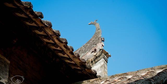 云浮｜镬耳屋、风火墙，拥有明清建筑588座的古建筑群