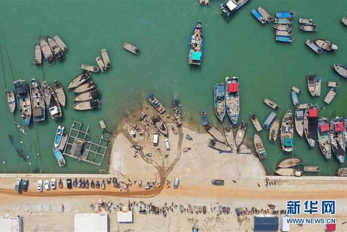 福建漳浦：复渔复产渔港忙