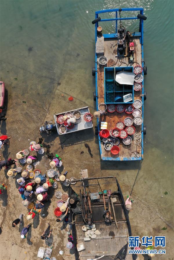 福建漳浦：复渔复产渔港忙