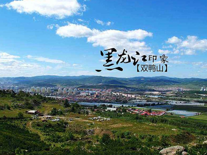 信访遣返归黑龙江省双鸭山市公安局什么部门管