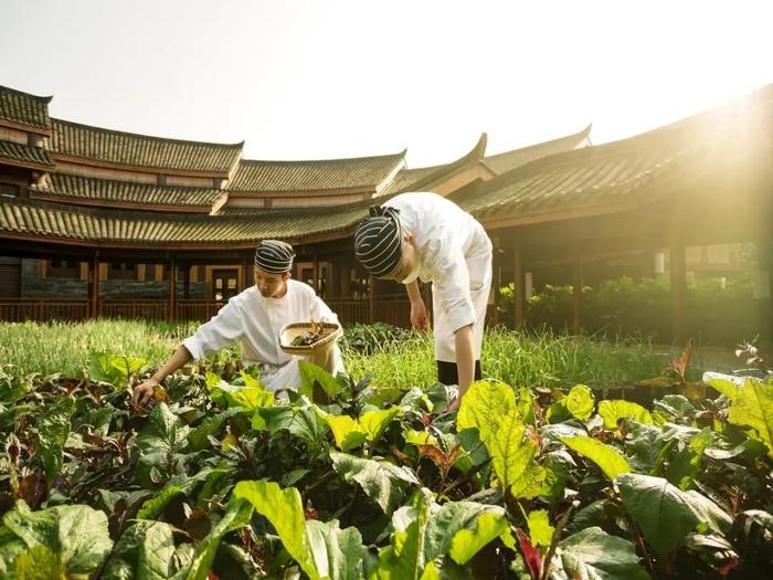 往返机票800+飞成都，更有中国首家六善限时6折，度假安排！