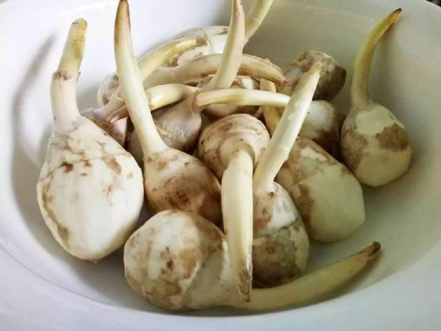 慈菇(茨菇)的家常做法,好吃到停不下来!