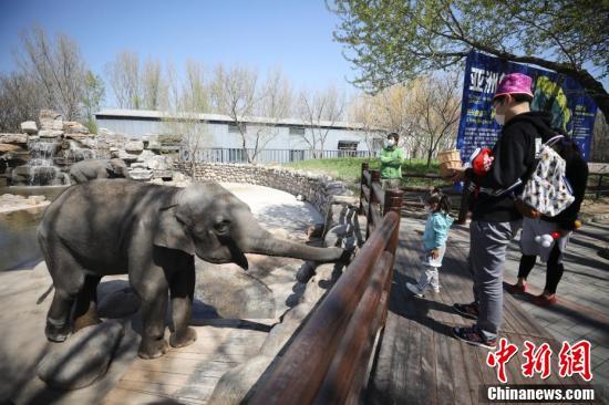 北京野生动物园：动物“萌宝”亮相