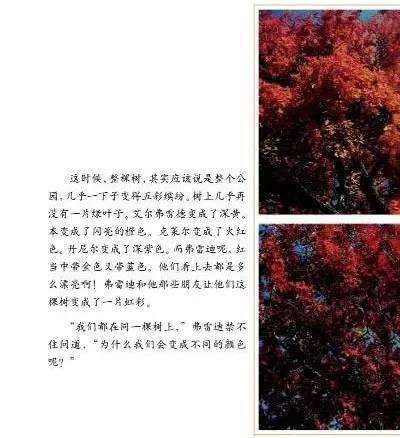 清明节，我们该如何和孩子谈论死亡？