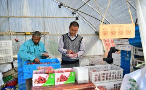 “村村通公路”还没结束，又有两项新的“村村通”来了，农民高兴