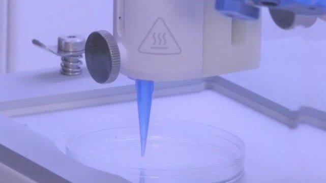 医学重大突破：科学家利用 3D 列印製造带有血管的人造皮肤！