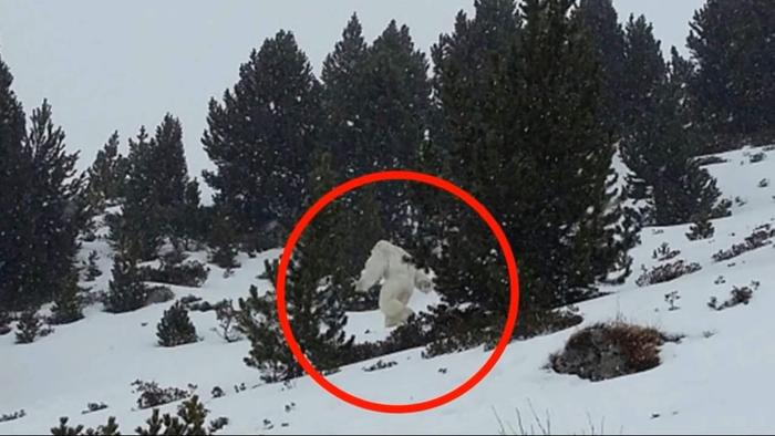 喜马拉雅发现“雪人”遗物，经高科技检查，生物学家给出意外答案