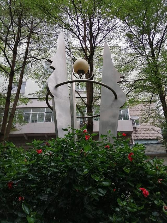 槿艳繁花满树红,开在路边的南宁市花朱瑾花,一样赏心悦目|大红花|雕塑|雨露|刘国雄|公园_新浪新闻