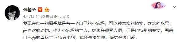 美食比老公还重要！张馨予嗨吃停不下来，开心直言烤箱就是全世界