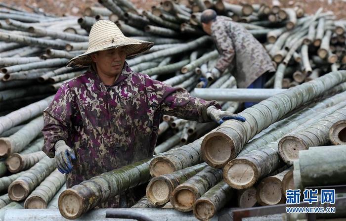 广西融安：竹制品外贸企业赶订单忙生产