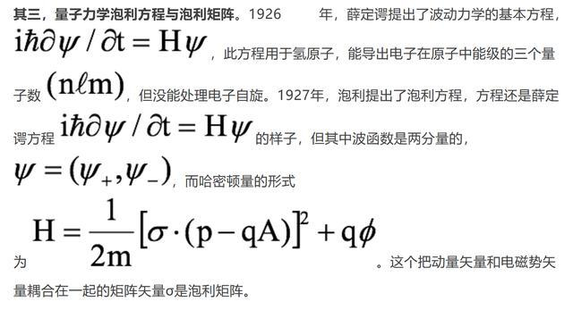 天才与良知——那个尖锐的物理学家泡利｜泡利诞辰120周年纪念