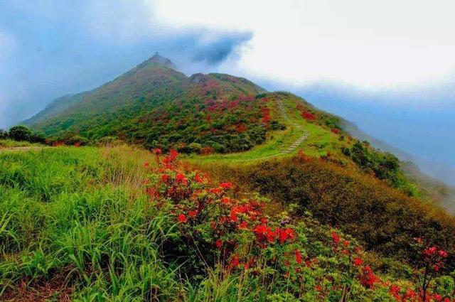 广西最漂亮的一座山，不是“猫儿山”，而是这座“姑婆山”