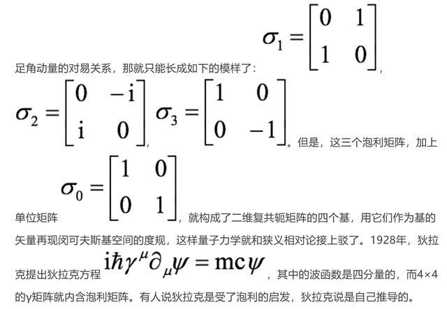 天才与良知——那个尖锐的物理学家泡利｜泡利诞辰120周年纪念