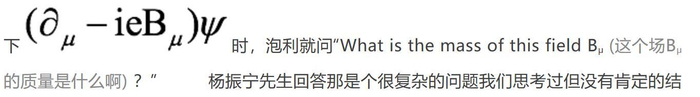 天才与良知——那个尖锐的物理学家泡利｜泡利诞辰120周年纪念