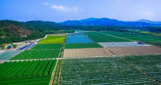 “五一”去哪玩？收下广州最全106个农业公园游玩攻略