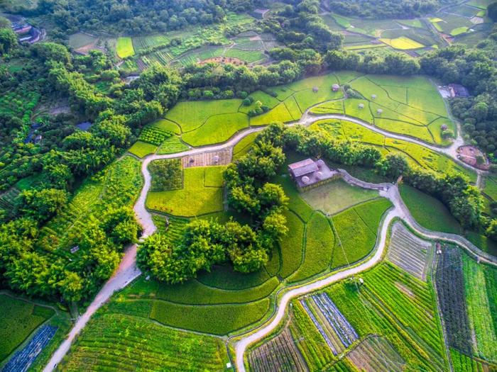 五一去哪玩？收下广州最全106个农业公园游玩攻略