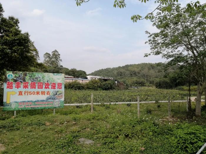 “五一”去哪玩？收下广州最全106个农业公园游玩攻略