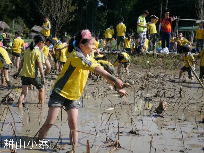 “五一”去哪玩？收下广州最全106个农业公园游玩攻略