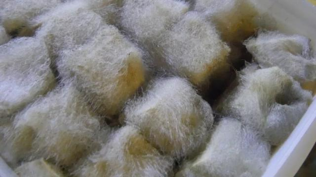 中国到底哪里的臭豆腐最好吃?