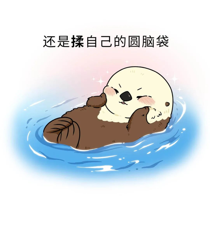 海獭差点灭绝，主要是发量惊人..._新浪新闻