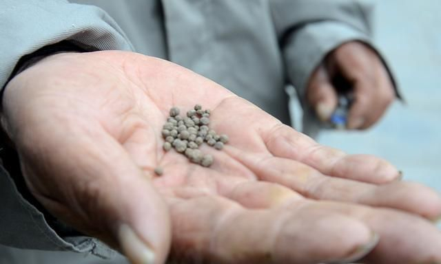 走进河南汤阴县扁鹊庙，带你认识庙内三宝
