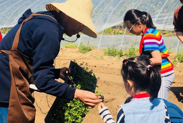 重庆动物园熊猫渝爱