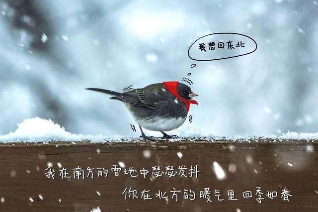 中医诊断之寒淫证，什么是寒邪？|新冠肺炎|冷痛|脘腹|阳气|经脉_新浪新闻