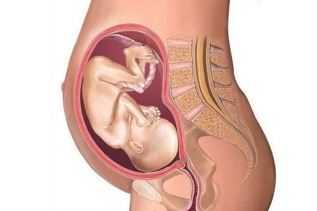 胎儿离开母体就轻松了？错！这3种“不适感”会在产后慢慢袭来