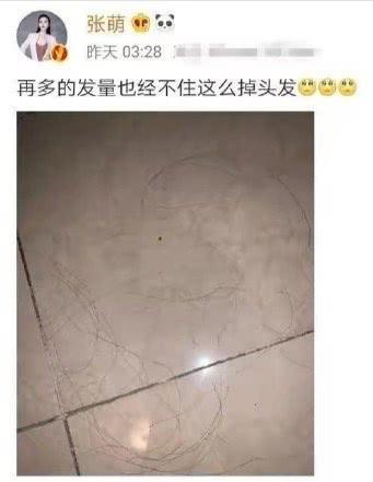 明星姐姐们为了成团出道也太拼了，这个节目到底有多累啊！