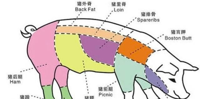 前腿、后槽、五花肉、里脊、后秋都是猪肉区别大_新浪新闻