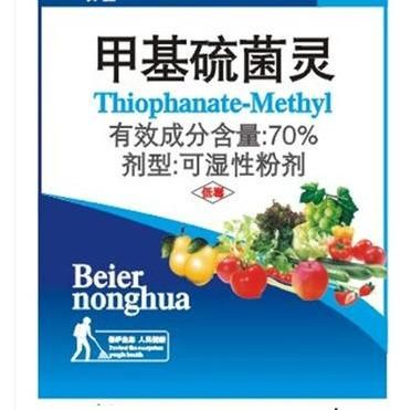 我不太懂花卉病害,咋判断我家花能不能用花枝俏呀?