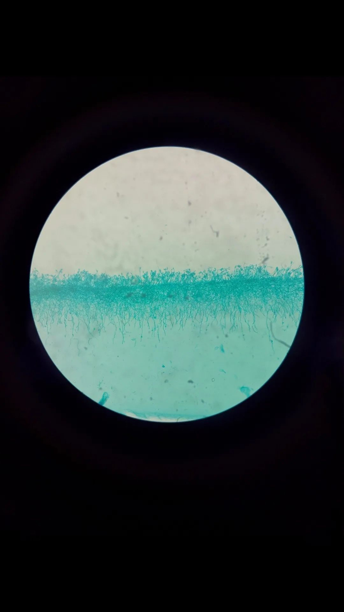 520特辑 | 理科生浪漫起来，比文科生还肉麻？谁都顶不住！！