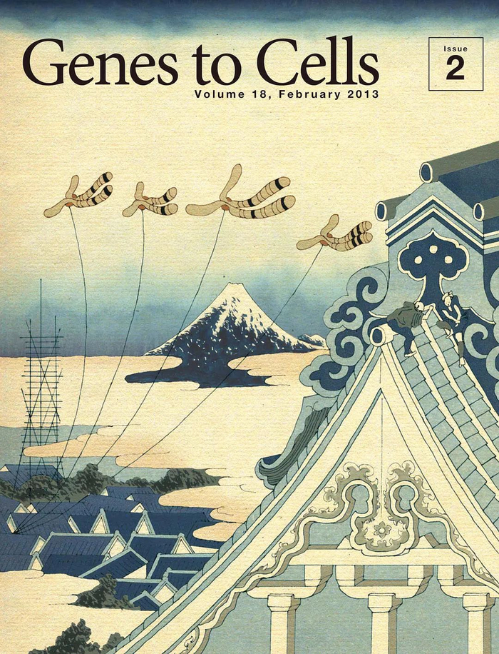 520特辑 | 理科生浪漫起来，比文科生还肉麻？谁都顶不住！！