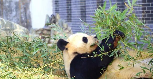 初夏玩“趣”！和家人一起“游”进风景里