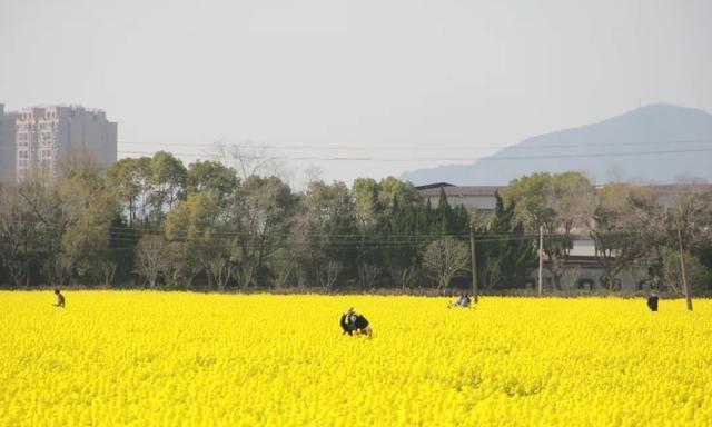 乡野！古宅！宁波庄桥姚家村有个明代建筑群，比乔家大院还要大