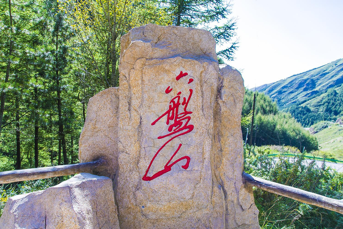 中国西部最“低调”的旅游地,被誉为“塞上江南”,有一半是荒漠|水洞沟|宁夏|塞上江南_新浪新闻