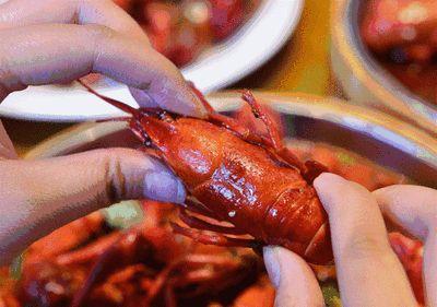 上海苏宁环球万怡酒店，小龙虾主题自助餐来袭！5+味小龙虾畅吃